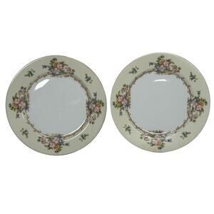 Meito China Hand Painted Floral Plates Set of 2 Japan 9.75” Vintage